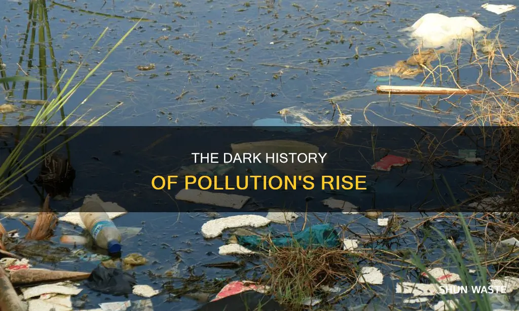 how did pollution began