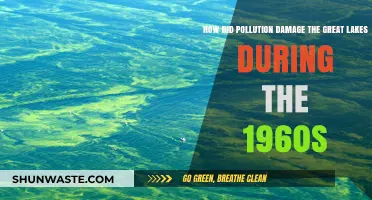 The Great Lakes Pollution Crisis of the 1960s
