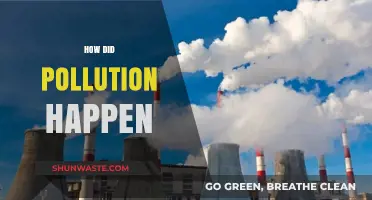 The Rise of Pollution: Understanding Its Historical Origins