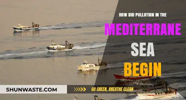 The Mediterranean Sea's Pollution: A Historical Perspective