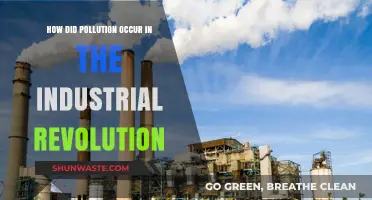 Industrial Revolution: Birth of Pollution