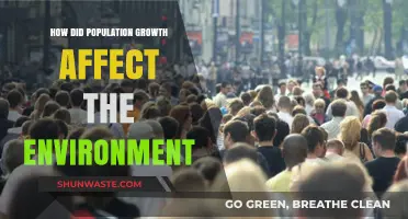 Population Growth's Impact: Environmental Challenges and Sustainable Solutions Explored