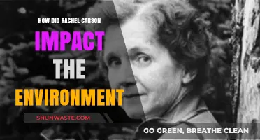 Rachel Carson's Legacy: Transforming Environmental Awareness and Conservation Efforts