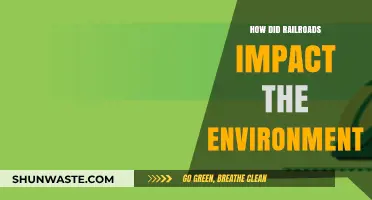 Railroads' Environmental Impact: Transforming Landscapes and Ecosystems Forever