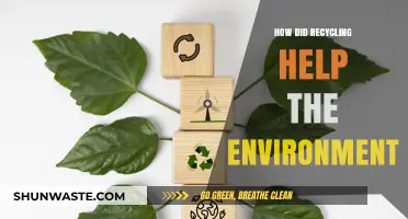 Recycling's Impact: How It Protects Our Planet and Preserves Resources
