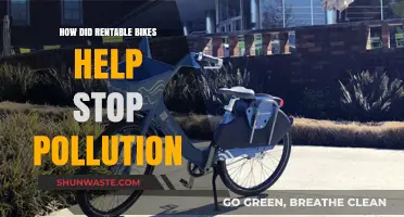 Rentable Bikes: Fighting Pollution, One Ride at a Time