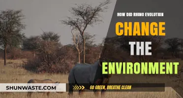 Rhino Evolution: Transforming Ecosystems and Shaping Environmental Dynamics