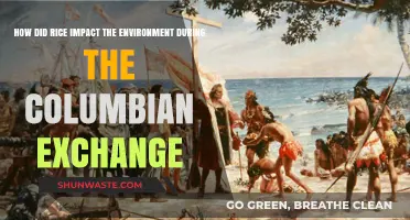 Rice's Environmental Transformation During the Columbian Exchange Era