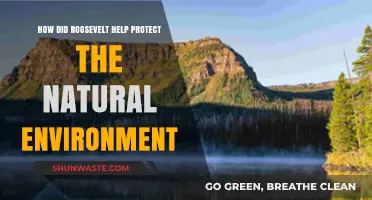 Roosevelt's Legacy: Safeguarding America's Natural Treasures and Wildlands