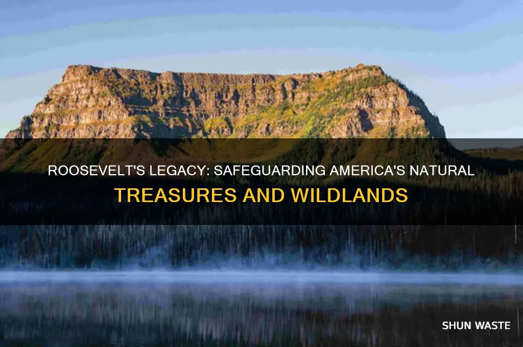 how did roosevelt help protect the natural environment