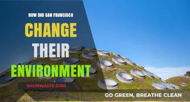 San Francisco's Green Revolution: Transforming Urban Spaces and Sustainability