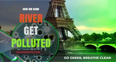 Seine River Pollution: Understanding the Crisis
