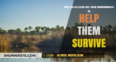 Settlers' Survival Strategies: Harnessing Nature for Sustenance and Shelter