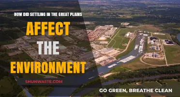 Settling the Great Plains: Environmental Impacts and Ecosystem Changes