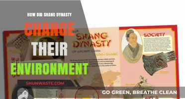 Shang Dynasty's Environmental Transformation: Innovations, Adaptations, and Lasting Impacts