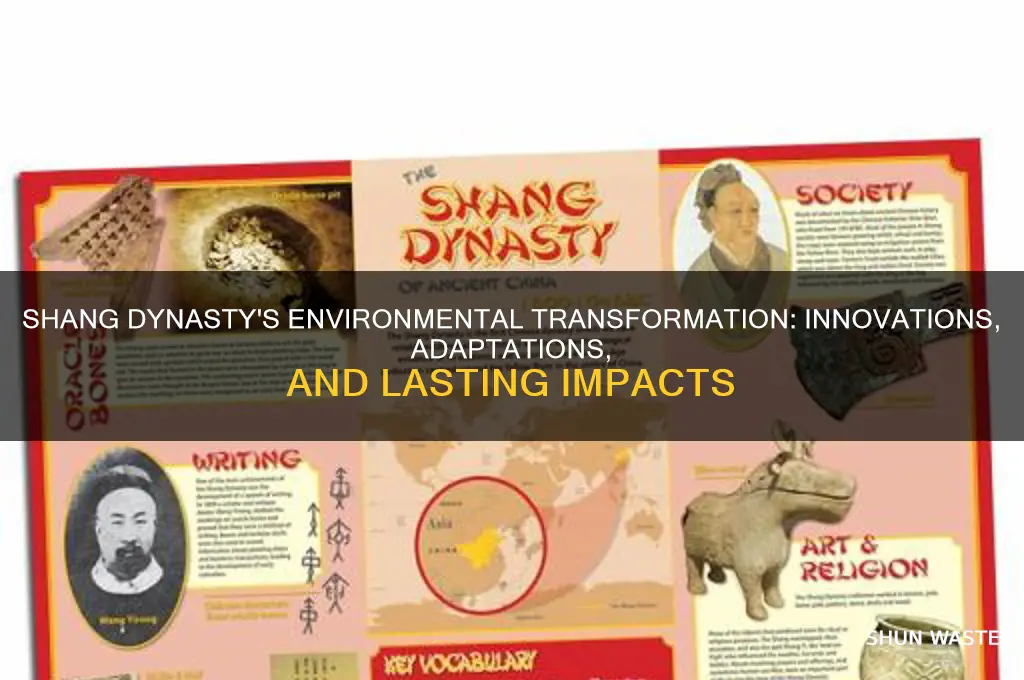how did shang dynasty change their environment