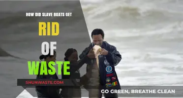 Waste Disposal on Slave Ships: Grim Practices and Human Cost