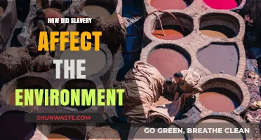 Slavery's Ecological Scars: Environmental Impacts of Forced Labor and Exploitation