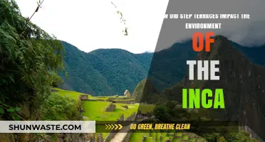Inca Step Terraces: Shaping Landscapes and Ecosystems in the Andes