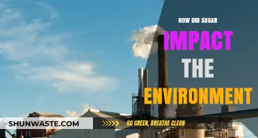 Sugar's Environmental Toll: Uncovering Its Hidden Ecological Footprint