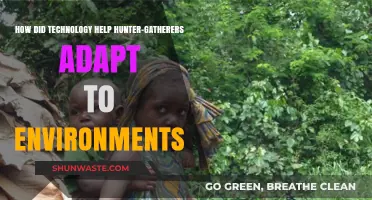 Technology's Role in Hunter-Gatherer Adaptation to Diverse Environments