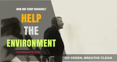Teddy Roosevelt's Legacy: Pioneering Conservation and Environmental Stewardship
