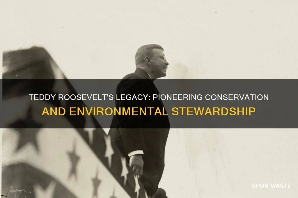 how did teddy roosevelt help the environment