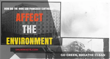 San Francisco's 1906 Quake: Environmental Impacts and Lasting Changes