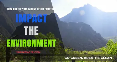 Mount Kelud's 1919 Eruption: Environmental Consequences and Long-Term Effects