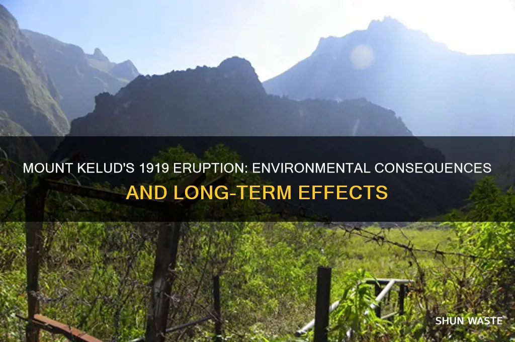 how did the 1919 mount kelud eruption impact the environment