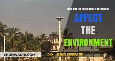 Chile's 1960 Earthquake: Environmental Impacts and Lasting Changes