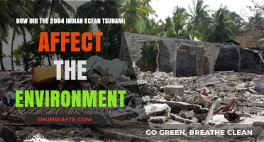 Environmental Aftermath of the 2004 Indian Ocean Tsunami