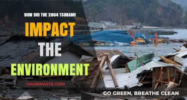 Tsunami's Environmental Aftermath: 2004's Devastating Impact on Ecosystems