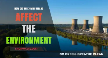Three Mile Island's Environmental Impact: Lessons from the Nuclear Meltdown
