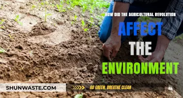 Agricultural Revolution's Environmental Impact: Transforming Landscapes and Ecosystems
