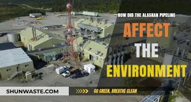 The Alaskan Pipeline's Environmental Impact: A Comprehensive Analysis