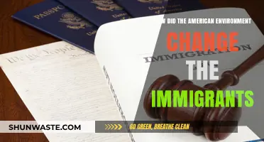 American Landscapes: Shaping Immigrant Identities and Cultural Adaptation