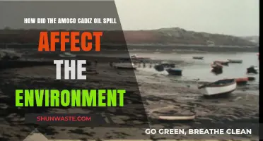 Amoco Cadiz Oil Spill: Devastating Environmental Impacts and Long-Term Effects