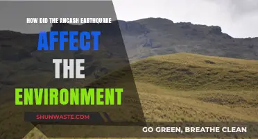 Ancash Earthquake's Environmental Impact: Devastation, Recovery, and Long-Term Effects