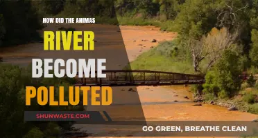 Animus River Pollution: Causes and Effects