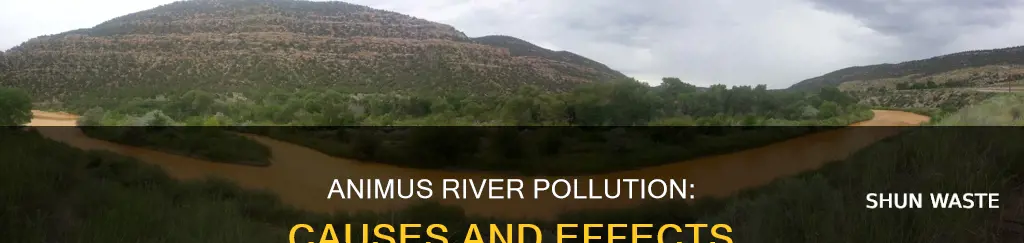 how did the animas river become polluted