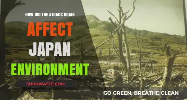 Atomic Bomb's Environmental Impact on Japan: Long-Term Effects and Legacy