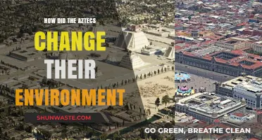Aztec Environmental Transformation: Shaping Their World Through Innovation and Adaptation