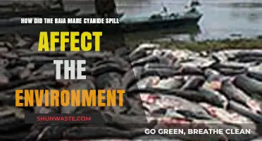 Baia Mare Cyanide Spill: Devastating Environmental Impact and Long-Term Effects
