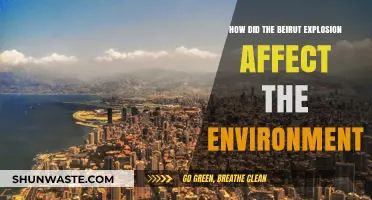 Beirut Blast's Devastating Environmental Impact: Air, Water, and Soil Consequences