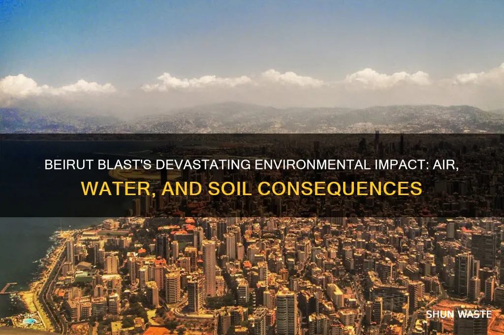 how did the beirut explosion affect the environment