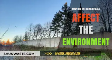Berlin Wall's Environmental Impact: A Legacy of Division and Ecology