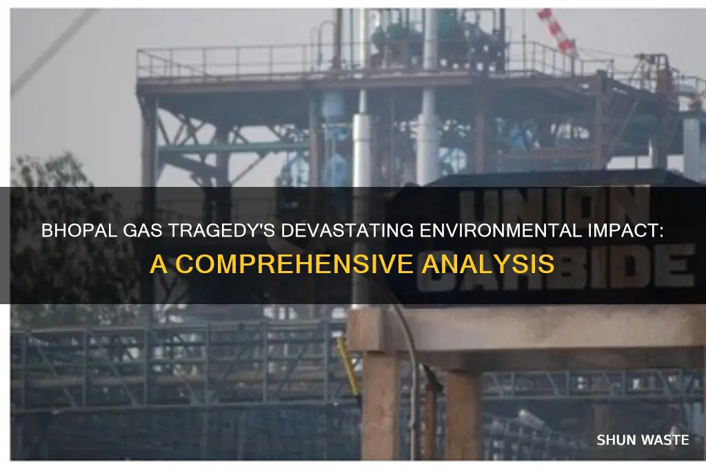 how did the bhopal gas tragedy affect the environment