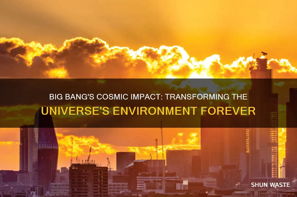 how did the big bang change the environment