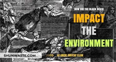 Black Death's Environmental Legacy: Transforming Ecosystems and Landscapes Forever